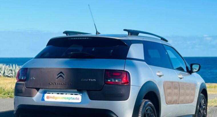 Citroen Citroën C4 Cactus BlueHDi 100 Feel Business