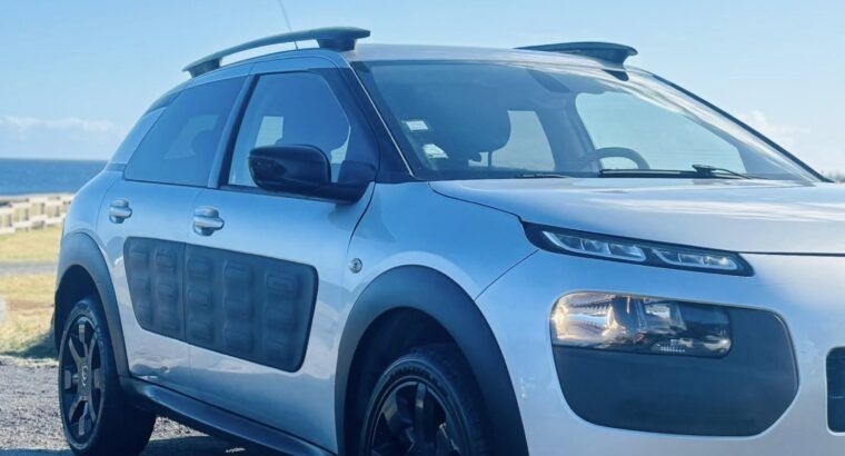 Citroen Citroën C4 Cactus BlueHDi 100 Feel Business