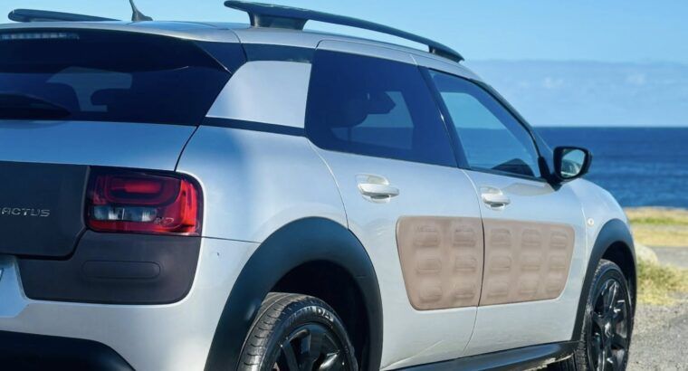 Citroen Citroën C4 Cactus BlueHDi 100 Feel Business