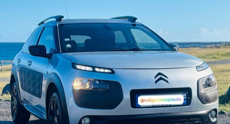 Citroen Citroën C4 Cactus BlueHDi 100 Feel Business