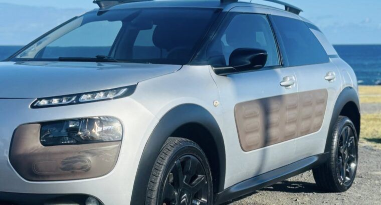 Citroen Citroën C4 Cactus BlueHDi 100 Feel Business
