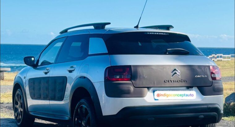 Citroen Citroën C4 Cactus BlueHDi 100 Feel Business