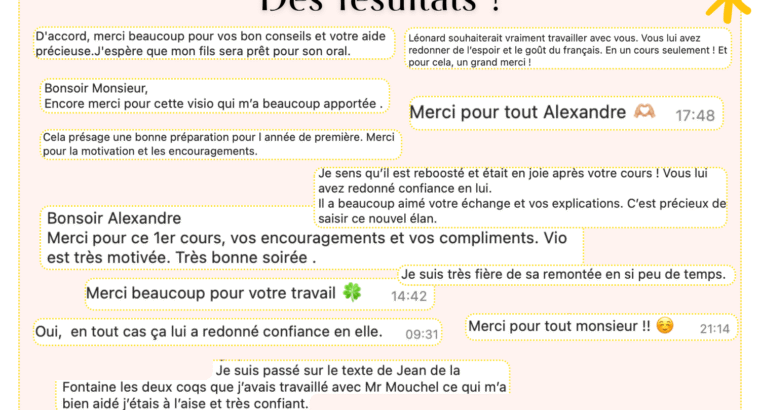 Professeur agrégé donne cours particuliers de français