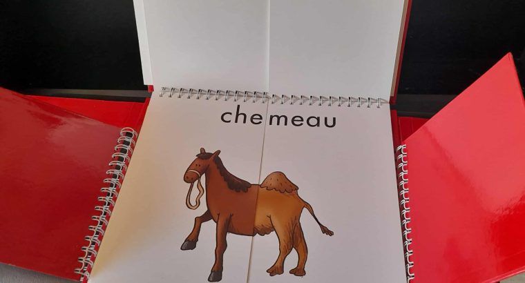 Manuel scolaire Lecture maternelle GS/CP