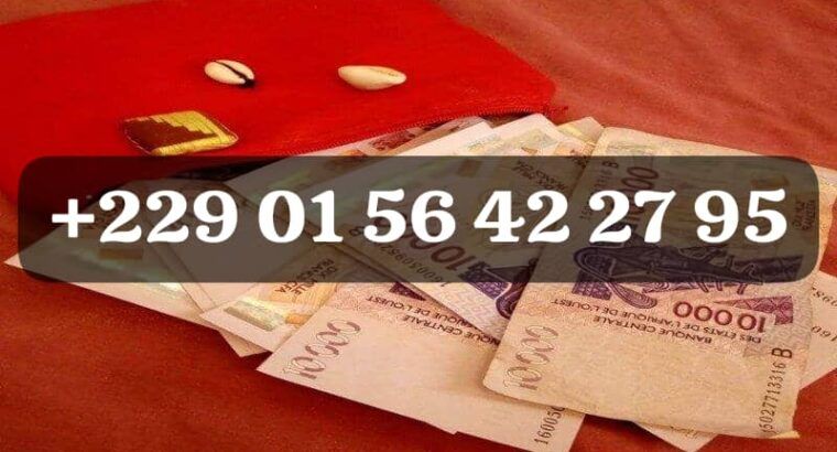 COMMENT AVOIR LE VRAI PORTEFEUILLE MAGIQUE +229 01 56 42 27 95
