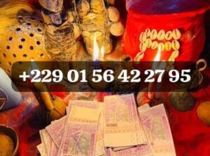 COMMENT AVOIR LE VRAI PORTEFEUILLE MAGIQUE +229 01 56 42 27 95